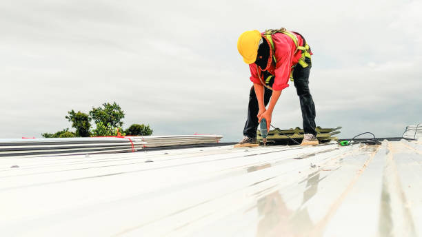 Best Gutter Installation and Repair  in Constantine, MI